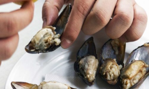 Allergens and prevalence of shellfish allergy